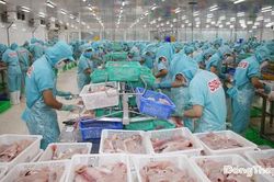 Đồng Tháp: Phát triển nông nghiệp theo hướng hữu cơ, tuần hoàn