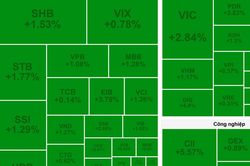 Bất chấp khối ngoại bán ròng, VN-Index tiếp tục bay cao trên đôi cánh VN30