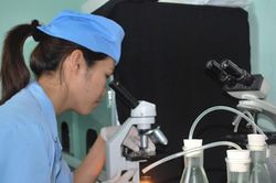 Đột phá khoa học, công nghệ và chuyển đổi số: Động lực chủ yếu cho phát triển quốc gia giai đoạn mới