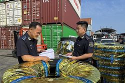 Hướng dẫn về vướng mắc thực hiện khai điện tử đối với người khai hải quan là cá nhân