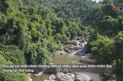 Trải nghiệm tại Khu dự trữ thiên nhiên Mường Nhé