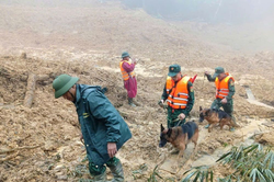 Nghĩa tình trong hoạn nạn