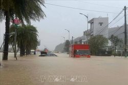 Mực nước sông ở Gia Lai dâng cao kỷ lục, nhiều tuyến đường bị tắc nghẽn, tê liệt