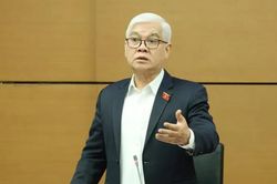 Đại biểu Quốc hội nêu bất cập khi chuyển mục đích sang đất ở