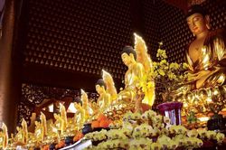 Bài giảng của Đại lão Hòa thượng Thích Trí Quảng: Tu theo hạnh của Đức Phật Dược Sư