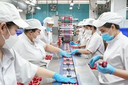 Sửa đổi Luật Bảo hiểm xã hội 2024 để phù hợp tổ chức chính quyền địa phương 2 cấp