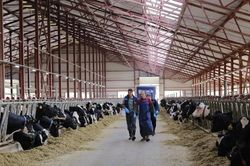 Tăng cường phòng chống dịch bệnh chăn nuôi, đảm bảo nguồn cung cuối năm