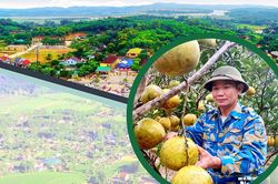 Người lính già và hành trình phủ xanh trên vùng đất khó