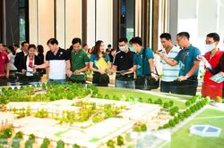 Mức thu lệ ph&iacute; cấp Chứng chỉ h&agrave;nh nghề m&ocirc;i giới bất động sản &aacute;p dụng từ 20/11/2025