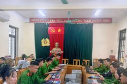 Hà Nội: Dướng dẫn doanh nghiệp làm sạch dữ liệu phương tiện và giấy phép lái xe
