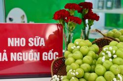 Hàng 'hot' như nho sữa, lê Hàn Quốc đều có hàng giả