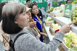 Mở cửa phòng trưng bày thật - giả hưởng ứng Ngày Phòng chống hàng giả, hàng nhái