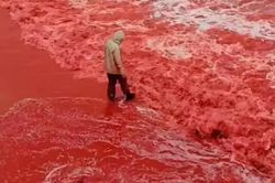 Sau trận mưa kỳ lạ, bãi biển bất ngờ nhuộm đỏ như máu, cơ quan lữ hành nói: Liên quan tới tên gọi nơi này