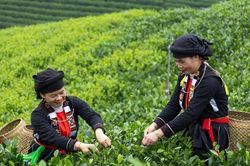 Thái Nguyên đổi mới cách giảm nghèo: Lấy thông tin làm động lực