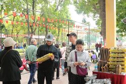 Festival Thu Hà Nội 2025 thu hút đông đảo người dân và khách tham quan