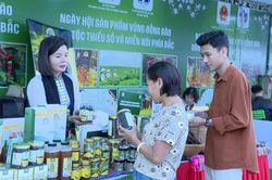 Lai Châu phát triển kinh tế tư nhân - Động lực cho tăng trưởng bền vững