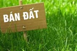 Phải xác nhận tài sản trên đất mới được bán đất có đúng không?