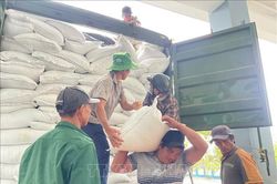 Đắk Lắk: Phân bổ gạo hỗ trợ nhân dân bị ảnh hưởng do ngập lụt