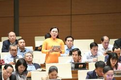 Đại biểu Quốc hội tỉnh An Giang đề xuất bảo vệ cơ quan báo chí trước nền tảng AI