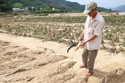 Lũ dữ cực đoan hoành hành miền Trung - thủy điện có vô can? (Kỳ 1: Nước mắt bên dòng Vu Gia)