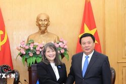 Đề xuất UNICEF hỗ trợ Việt Nam xây dựng cơ sở dữ liệu quốc gia về trẻ em