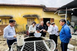 Tăng cường phòng dịch bệnh