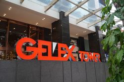 Cổ phiếu 'họ Gelex' đua nhau tăng trần