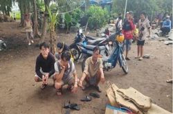 Triệt phá sới gà cá độ