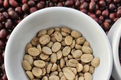 Giá cà phê hôm nay 26/11/2025 giảm mạnh vì thời tiết