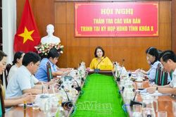 Ban Kinh tế - Ngân sách thẩm tra văn bản trình kỳ họp HĐND tỉnh khóa X