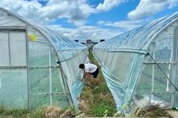 Kỳ 3: Phản ứng nhanh ngay sau cảnh báo