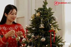 Cách trang trí cây thông Noel giúp lung linh trong nhà, rực rỡ ngoài trời