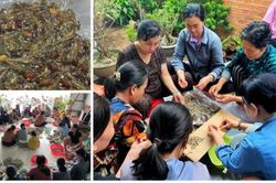 Bài 1: Nghĩa tình sâu đậm của người dân Thành phố mang tên Bác