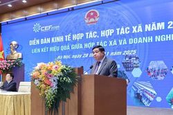Để các khu vực kinh tế hợp lực phát triển nhanh, bền vững