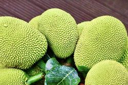 Cục trưởng Cục Trồng trọt và Bảo vệ thực vật nói gì về việc mít tươi được xuất khẩu sang Trung Quốc?