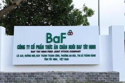 BaF Việt Nam (HOSE: BAF) đẩy mạnh vay nợ giữa lúc dòng tiền kinh doanh âm 566 tỷ và đầu tư âm hơn 1.200 tỷ