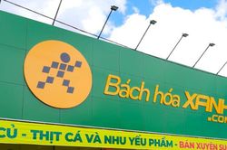 Bách Hóa Xanh (MWG) tăng tốc 'Bắc tiến' trước thềm IPO: Lợi nhuận phục hồi, nhưng vẫn gánh khoản lỗ lũy kế gần 6.900 tỷ đồng