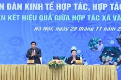 Kinh tế tập thể là 'bệ đỡ nơi làng quê', kinh tế tư nhân là 'động lực nơi thị trường'