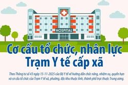 Cơ cấu tổ chức, nhân lực Trạm Y tế cấp xã