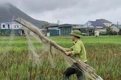 Nghệ An: Trong 1 tháng tiêu hủy gần 21.500m lưới bẫy đánh bắt chim trời