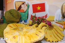 Quảng bá trái cây Việt Nam tới doanh nghiệp và người tiêu dùng Trung Quốc
