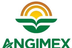Đại hội đồng cổ đông thường niên năm 2025 Công ty Cổ phần Xuất Nhập Khẩu An Giang (Angimex) (Kỳ 1)