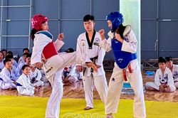 162 võ sinh thi thăng cấp môn Taekwondo