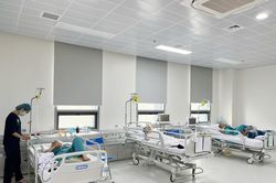 Chủ động phòng lây nhiễm chéo cúm A