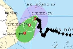 Bão số 15 giảm cường độ, đang hướng về vùng biển từ Gia Lai đến Khánh Hòa