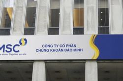 Chứng khoán Bảo Minh (UPCoM: BMS) thoái sạch vốn khỏi Bidiphar, biến động nhân sự và chiến lược nợ vay hé lộ kế hoạch tái cơ cấu