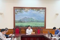 Đẩy nhanh công bố phạm vi thông tin dữ liệu trong Cơ sở dữ liệu hộ tịch điện tử