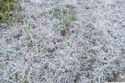 Nhiệt độ xuống dưới 0°C, băng giá xuất hiện tại xã Na Ngoi