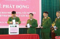 Phát động ủng hộ đồng bào miền Trung, Tây Nguyên bị thiệt hại do bão, lũ gây ra