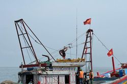Chính phủ chỉ đạo tiếp tục hành động rốt ráo để gỡ 'thẻ vàng Châu Âu' về thủy sản